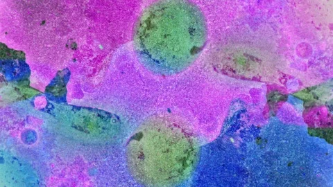 Curlicue of Paints Vidéo 71490301