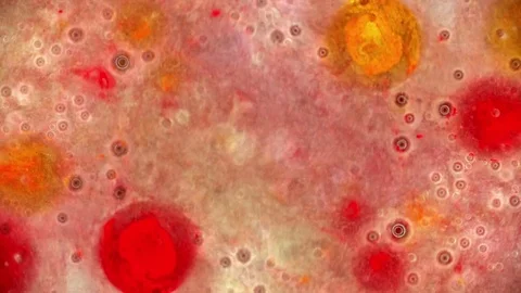 Curlicue of Paints Stock Footage 71490429