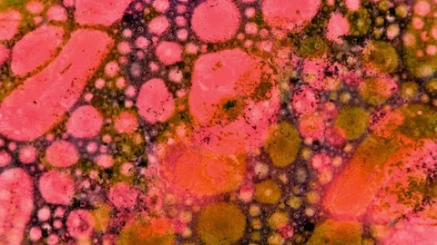 Curlicue of Paints Stock Footage 71490537