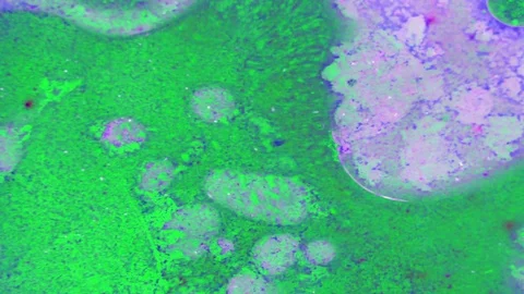 Curlicue of Paints Stockbeeldmateriaal 71490785