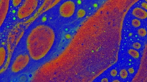 Curlicue of Paints Stockbeeldmateriaal 71491416