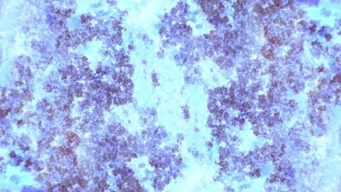 Curlicue of Paints Stock Footage 71586966