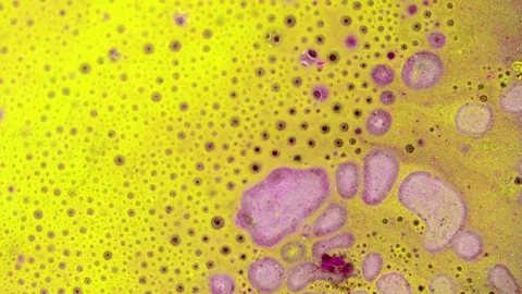 Curlicue of Paints Stock Footage 71589612