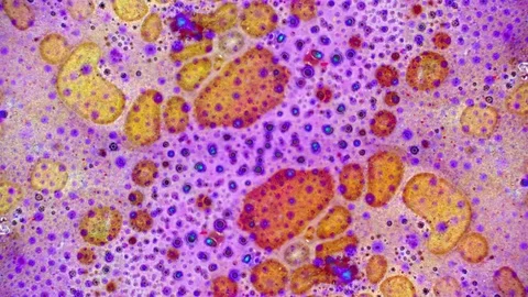 Curlicue of Paints Stock Footage 71590613