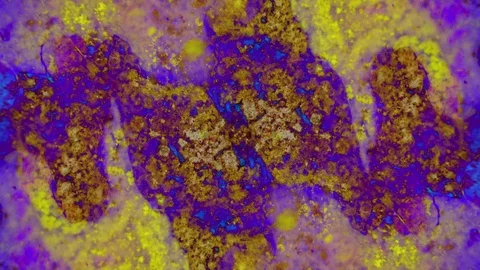 Curlicue of Paints 스톡 동영상 71590906