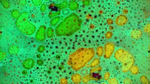 Curlicue of Paints Stockbeeldmateriaal 71591330