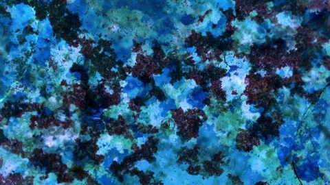 Curlicue of Paints Stock Footage 71591644