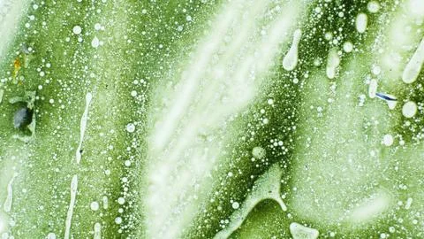 Curlicue of Paints Stock Photos