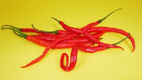 Curly Big Chilli Stock Photos