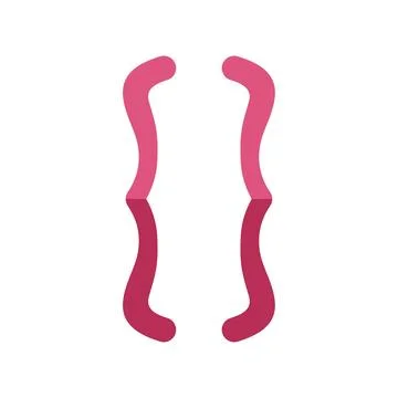 Curly brackets reflecting software development concept Stock-Illustration