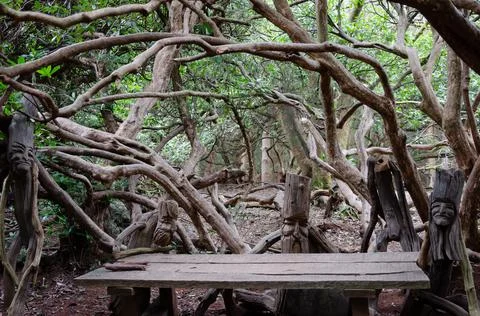 Curly branches 2 Stock Photos