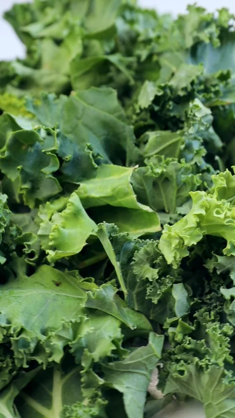 Curly cabbage (Jarmuż), rotation in circle. Fresh green leafy kale vegetable Stock Footage 280649767