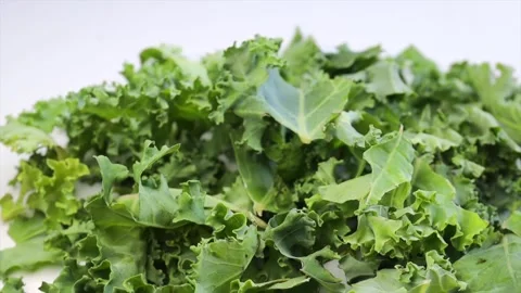 Curly cabbage (Jarmuż), rotation in circle. Fresh green leafy kale vegetable Stock Footage 280649835