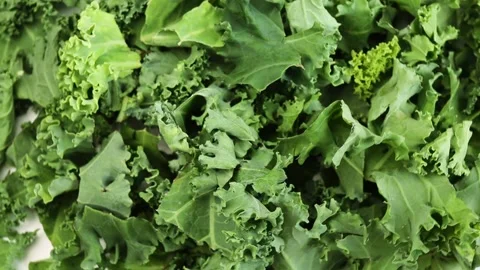 Curly cabbage (Jarmuż), rotation in circle. Fresh green leafy kale vegetable Video stock 280649846