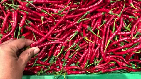 Curly chilies Video stock 270456530