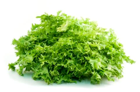 Curly endive Stock Photos