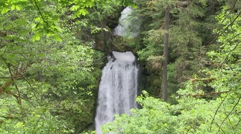 Curly Falls 01 Stock Footage 7728478