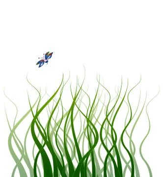 Curly grass Stock Illustration