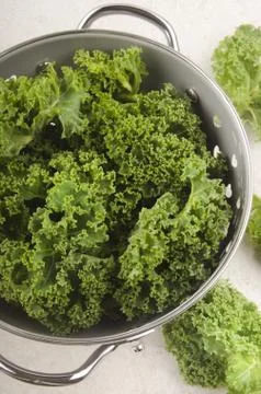 Curly kale in a colander Stock Photos