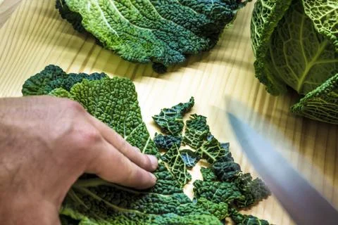 Curly kale in the kitchen Stock Photos