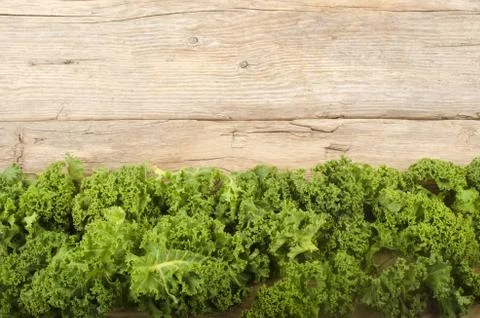 Curly kale on a rustic table Stock Photos