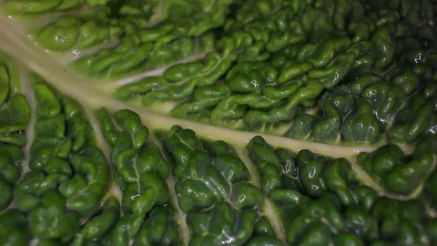 Curly Kale savoy cabbage leaf food closeup texture pattern. Seamless looping Stock Footage 102590028