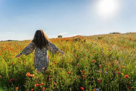 A curly long-haired plus size woman stands on a summer day among a poppy field Stock Photos