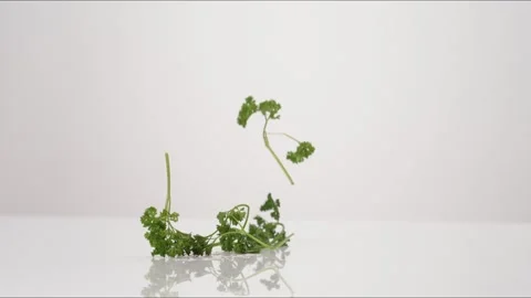 Curly Parsley Bouncing Slow Motion White Tabletop Closeup Macro Food Studio Stock Footage 335006633