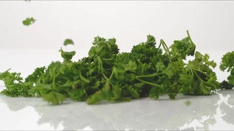 Curly Parsley Macro Bouncing Slow Motion White Tabletop Closeup Macro Food Stock Footage 335003669