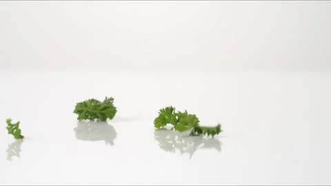 Curly Parsley Macro Bouncing Slow Motion White Tabletop Closeup Macro Food Stock Footage 335006804