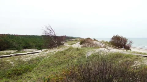 Curonian Spit 01 Video stock 130948385