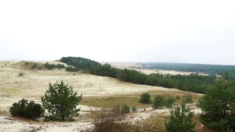 Curonian Spit 02 Video stock 130948702