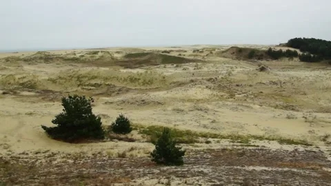 Curonian Spit 03 Video stock 130948623
