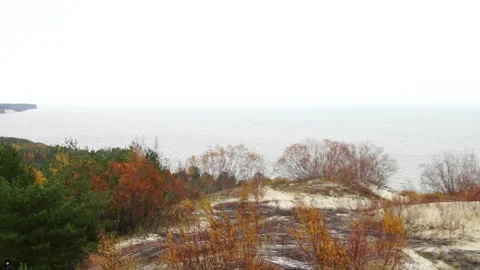 Curonian Spit 05 Video stock 130948699