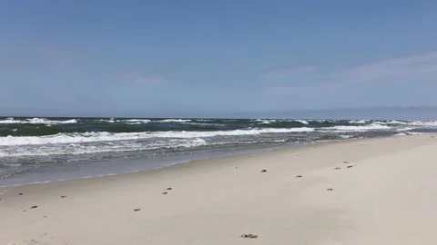 Curonian spit, beautiful vibrant view of Kurshskaya Kosa National Park, Curonian Stock Footage 201865760