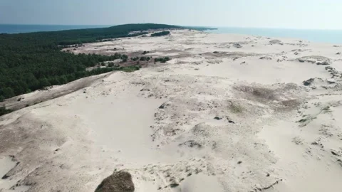 Curonian Spit, Efa dune. A sand dune is bordered by a forest. Stock Footage 159577651