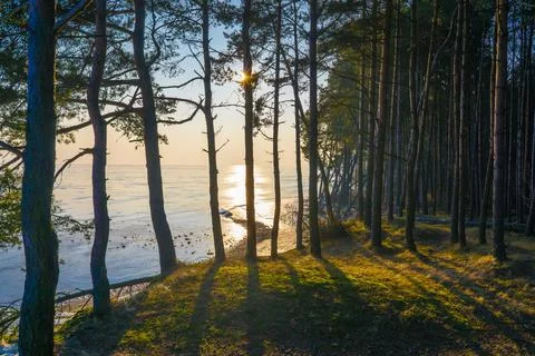 Curonian Spit Stock Photos