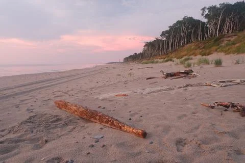 Curonian spit Foto stock