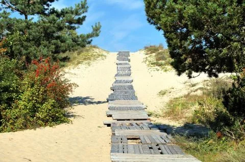 The Curonian spit. Wood flooring in the sand, leading to the Baltic sea Stock Photos