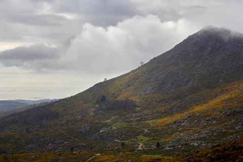 A Curota Stock Photos