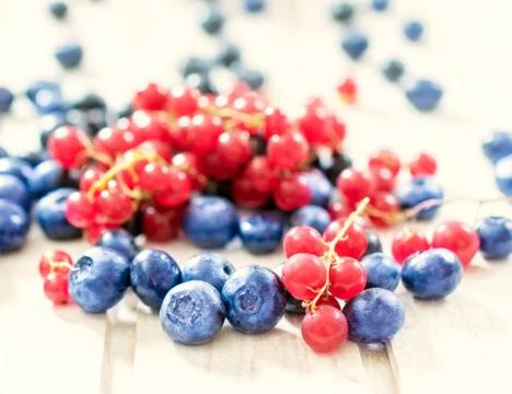 Currant and bluberries Stock Photos