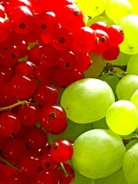 Currant and grapevine Stock Photos