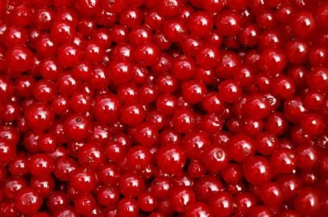 Currant background Stock Photos