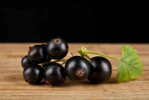 Currant berries Stock Photos