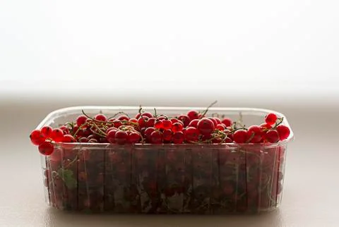 Currant berries on a white background Stock Photos