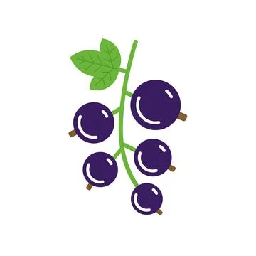 Currant berry fruit leaf plant. Shiny berries on a twig. Stock Illustration