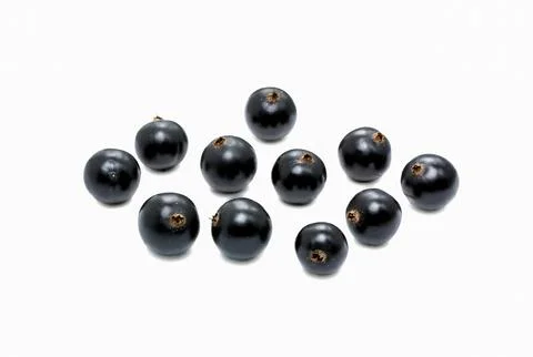 Currant black on white background Foto stock