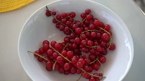 Currant in a bowl on a white table Video stock 203570789