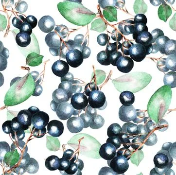 A currant branch, watercolor pattern Stock Illustration
