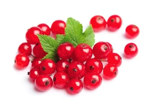Currant close up isolated on white Stock Photos